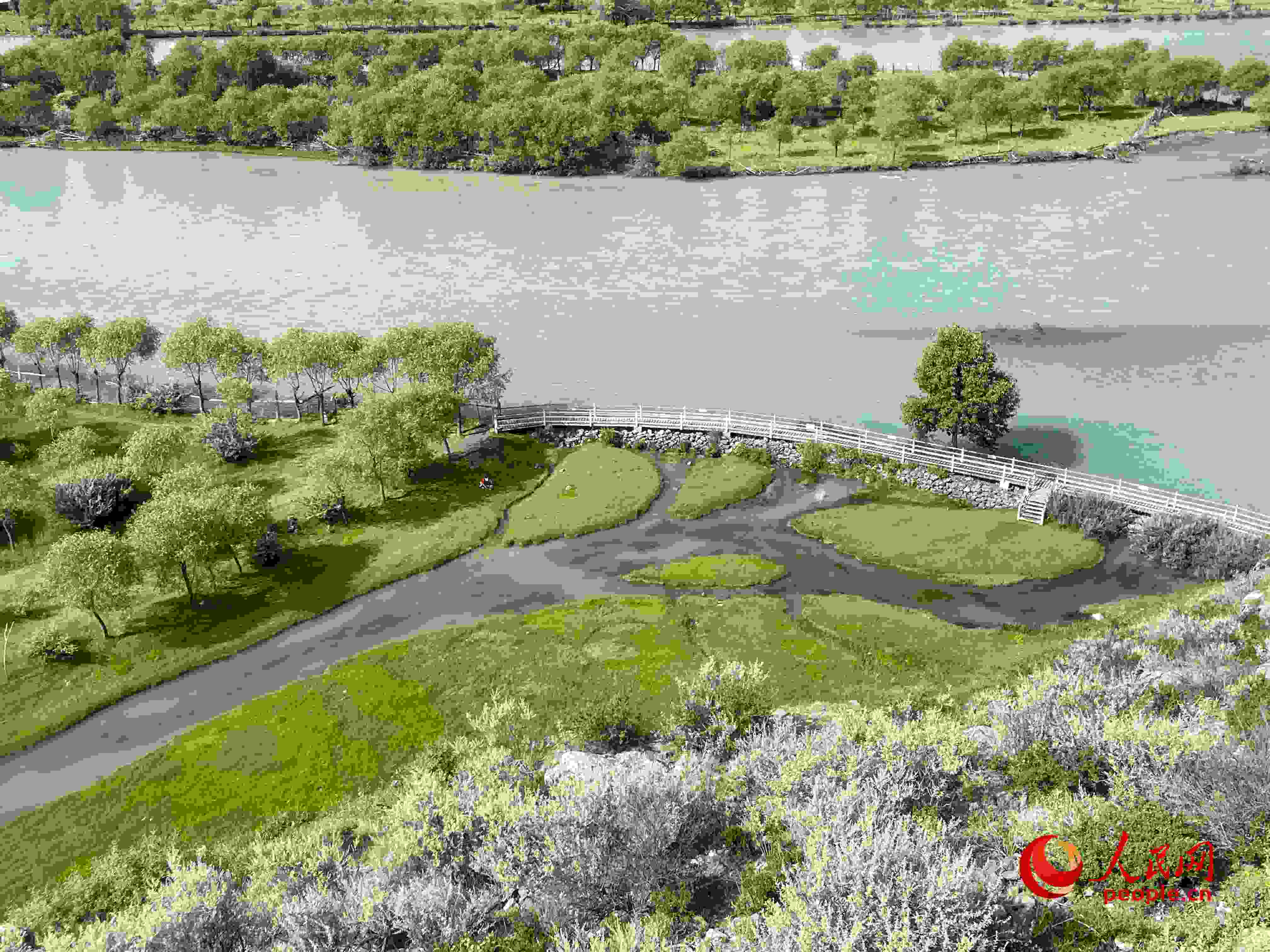 夏日的雅尼國家濕地公園生機(jī)盎然，如詩如畫。人民網(wǎng) 周靜圓攝