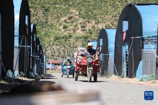 7月29日，農(nóng)戶在卓尼縣納浪鎮(zhèn)納浪村黑木耳種植基地勞作。