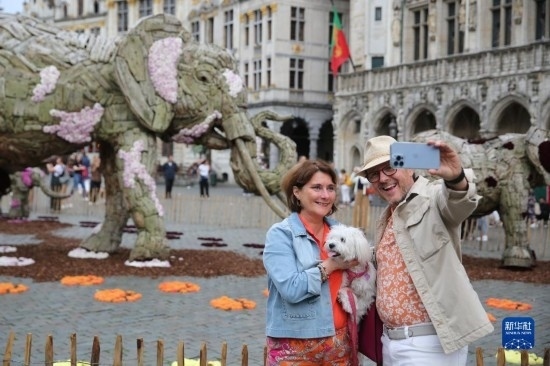 8月11日，觀眾在比利時布魯塞爾“鮮花時光”展覽上拍照。新華社記者 趙丁喆攝