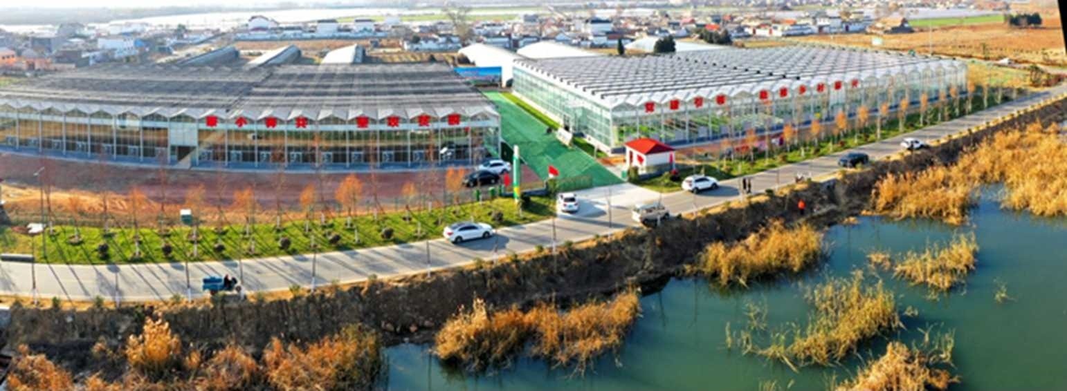 白樓灣三產(chǎn)融合發(fā)展。宋道森攝