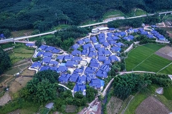 磨憨鎮(zhèn)曼莊村大龍哈小組現(xiàn)代化邊境幸福村新貌。人民網(wǎng)記者 符皓攝