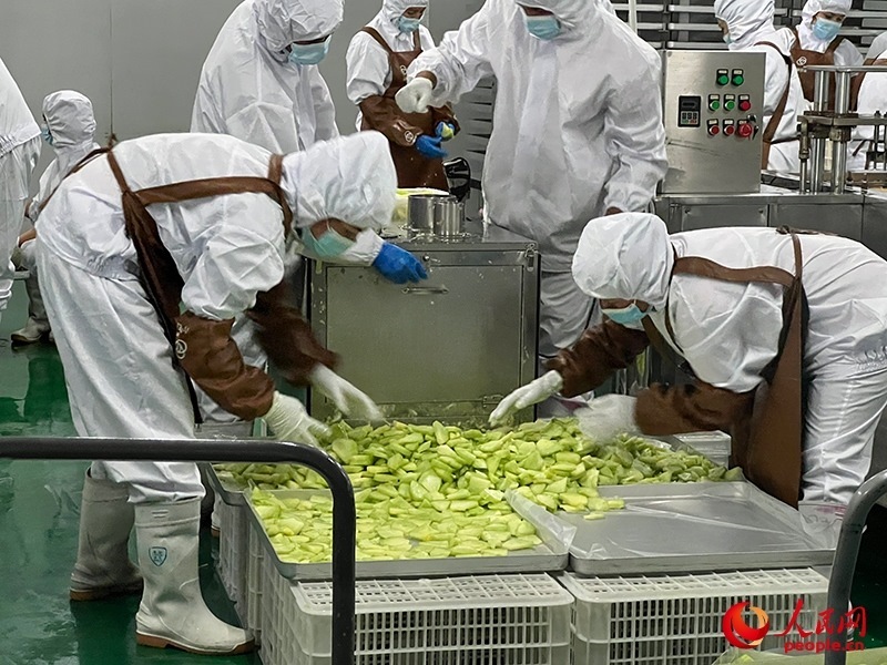 切片哈密瓜將被做成凍干食品。人民網(wǎng)記者 常雪梅攝