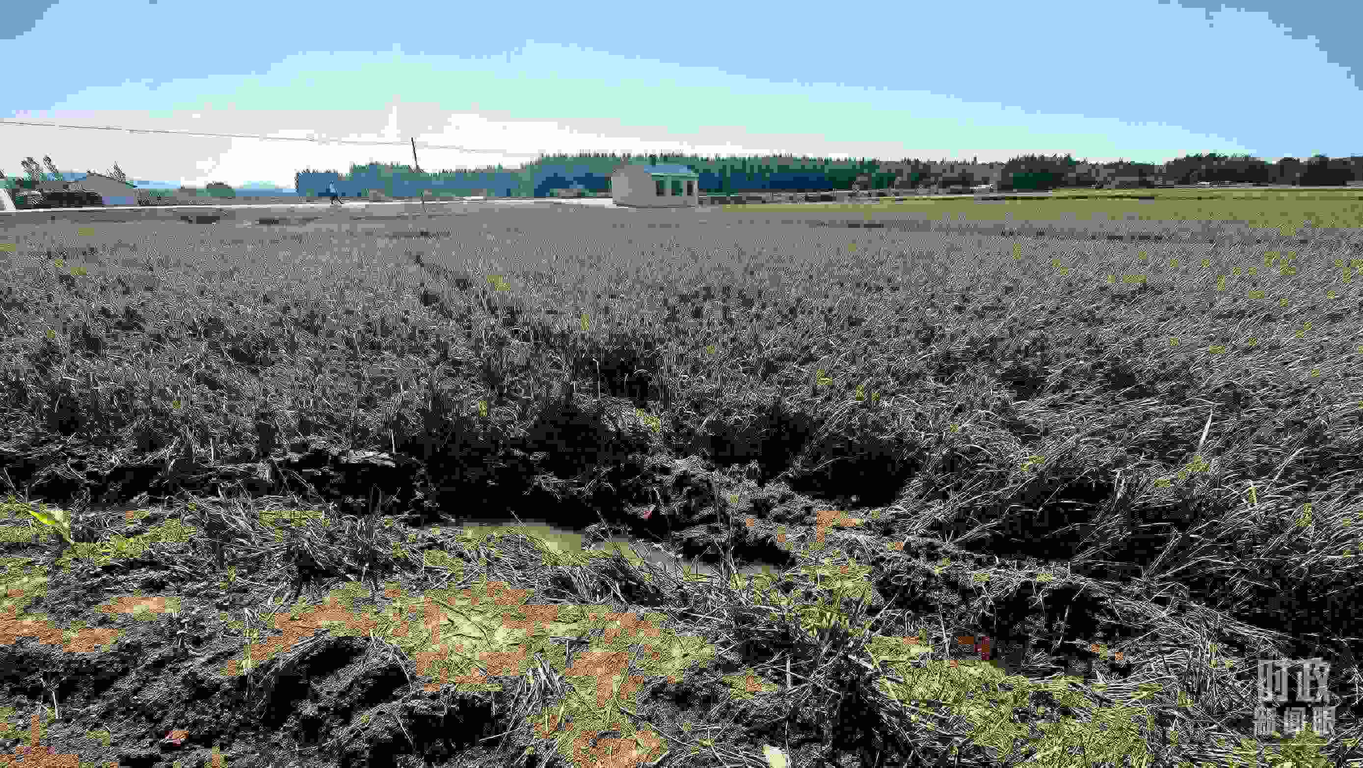 △圖為龍王廟村在洪災(zāi)中受損的農(nóng)田。（總臺央視記者史偉拍攝）