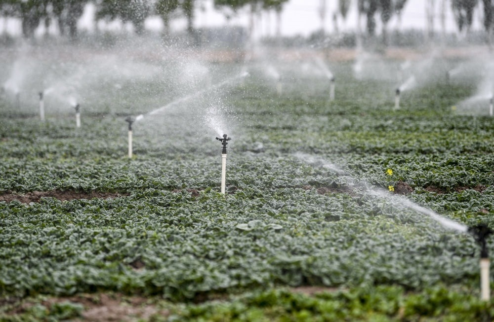2023年5月25日，在寧夏銀川市永寧縣望洪鎮(zhèn)宋澄村冷涼蔬菜種植基地，小型噴灌節(jié)水設(shè)備在進行噴灌作業(yè)。新華社記者 馮開華 攝