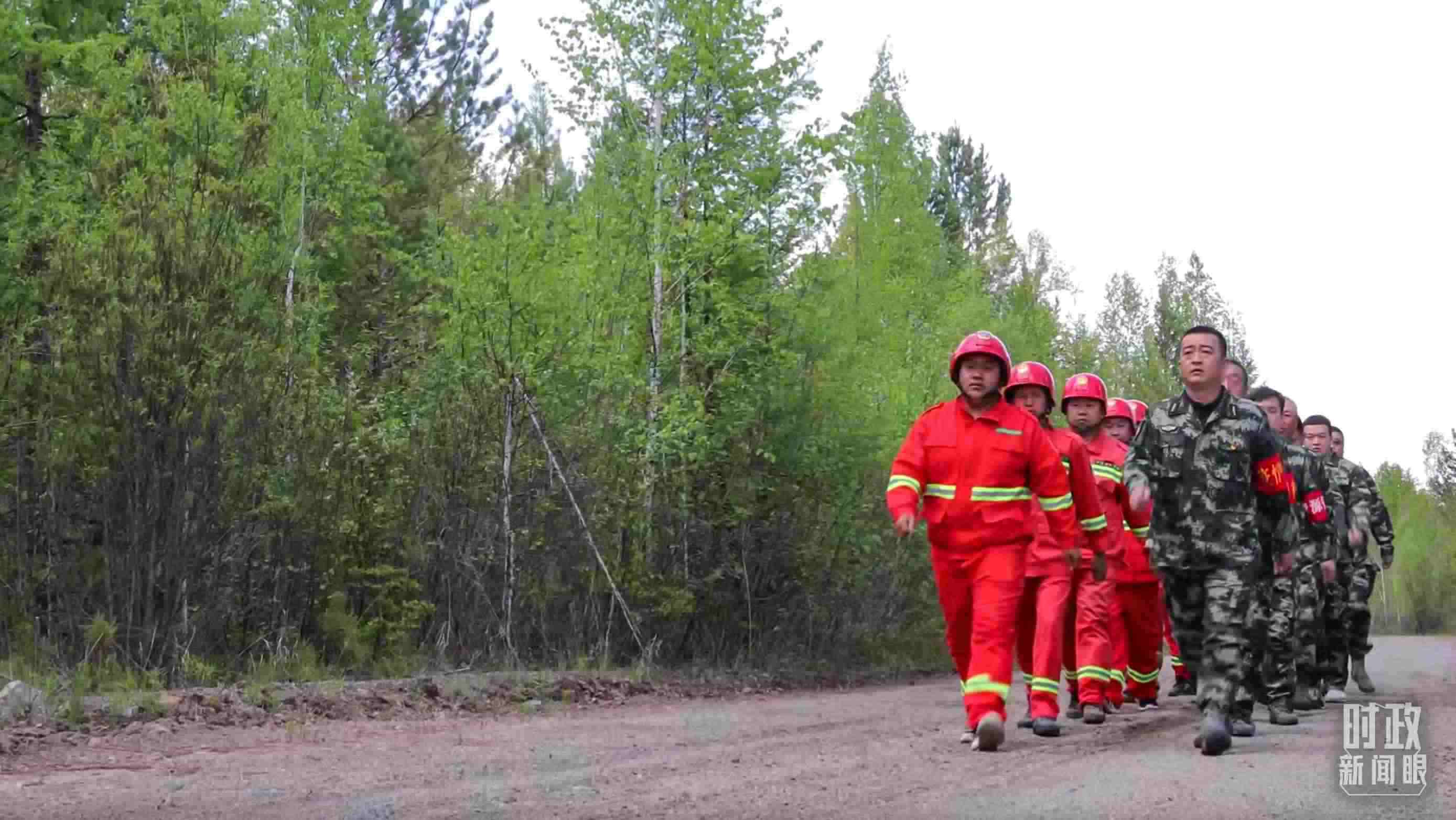 △林場里的森林巡護。