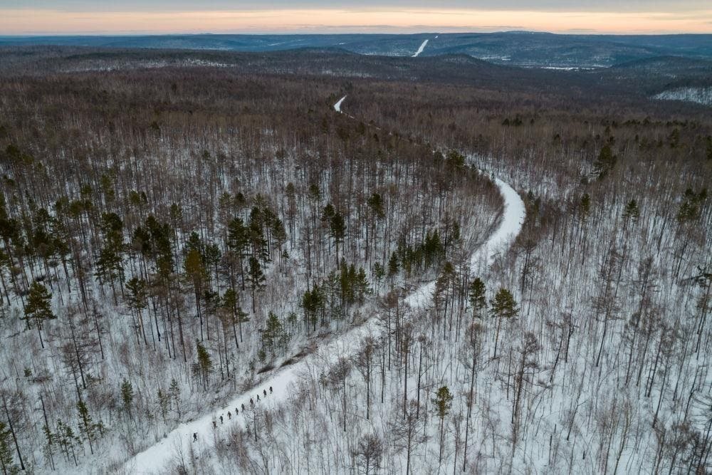 △2023年1月，漠河林場數(shù)十名職工自發(fā)組成的森林撫育隊伍，在人跡罕至的山林中作業(yè)。