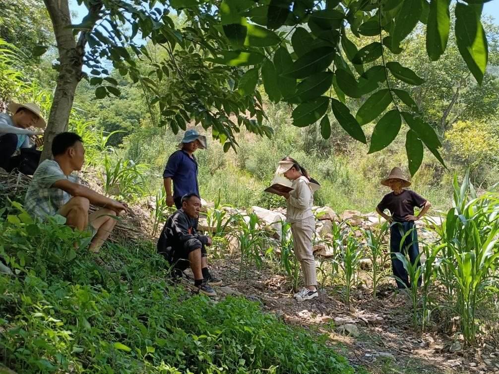 2023年7月18日，兩家村民發(fā)生土地方面的糾紛，李江女（右二）在記錄情況。受訪者供圖