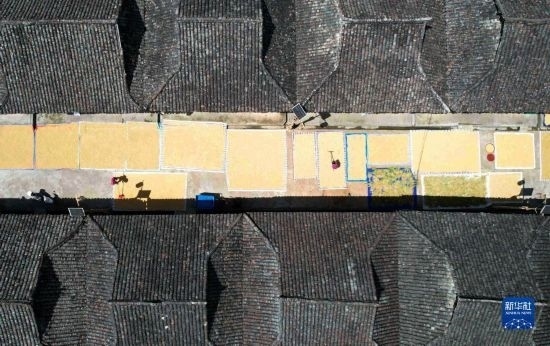 9月16日，在貴州省黔東南苗族侗族自治州從江縣加勉鄉(xiāng)污扣村，村民在晾曬稻谷（無人機照片）。