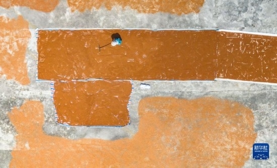 9月16日，農(nóng)民在貴州省安順市西秀區(qū)大西橋鎮(zhèn)吉昌村晾曬高粱（無人機照片）。