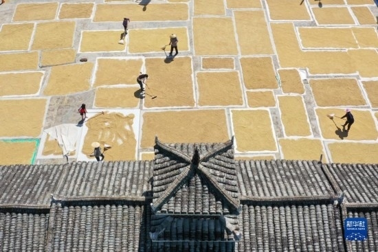 9月16日，村民在貴州省黔東南苗族侗族自治州從江縣剛邊壯族鄉(xiāng)三聯(lián)村晾曬稻谷（無人機照片）。