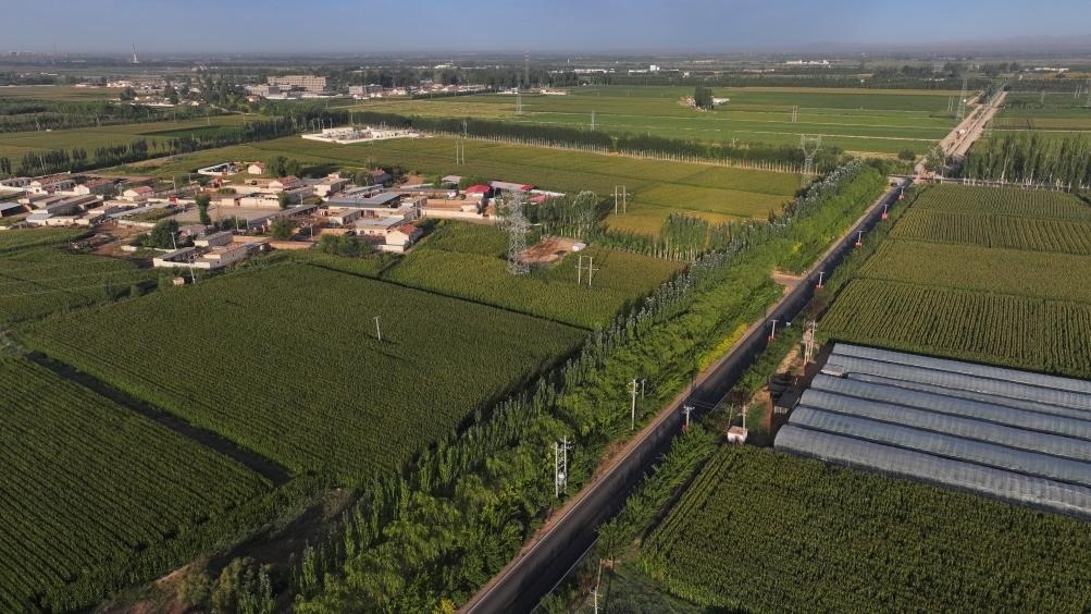 東興村周邊建起防護(hù)林網(wǎng)（無人機(jī)照片，2023年9月12日攝）。新華社記者李云平 攝