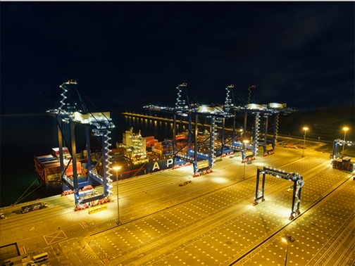 萊基港實(shí)行7×24小時(shí)裝卸作業(yè)機(jī)制。受訪者供圖