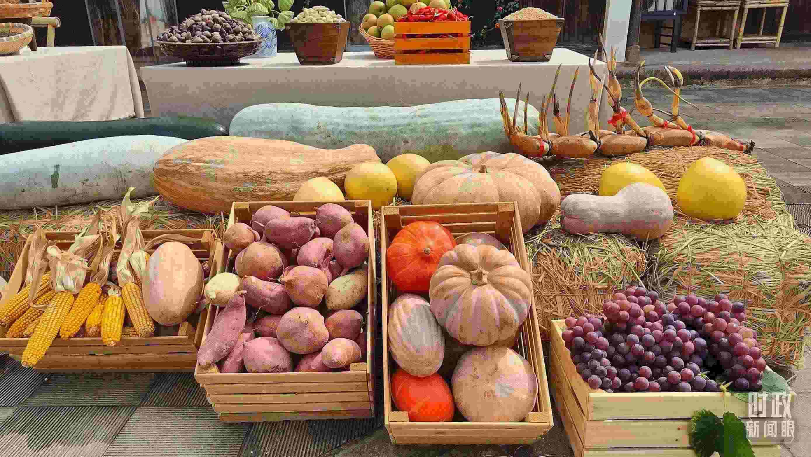 △村廣場“共富市集”，擺放著種類豐富的特色農(nóng)產(chǎn)品。（總臺央視記者楊立峰拍攝）
