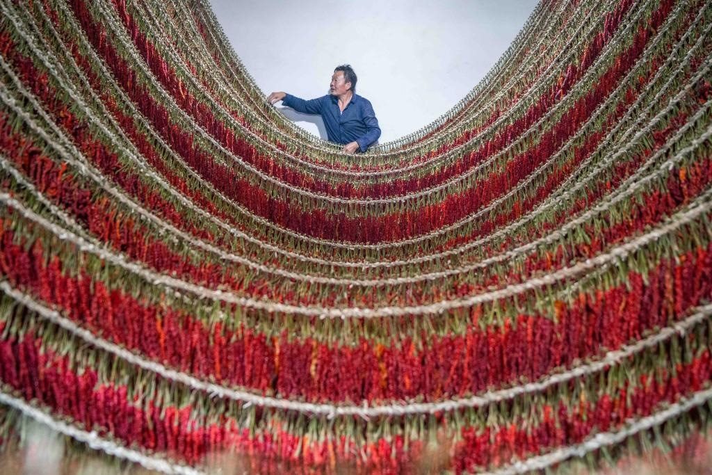 在貴州省畢節(jié)市大方縣理化鄉(xiāng)金雞村，村民查看辣椒烘干情況。新華社發(fā) 羅大富攝