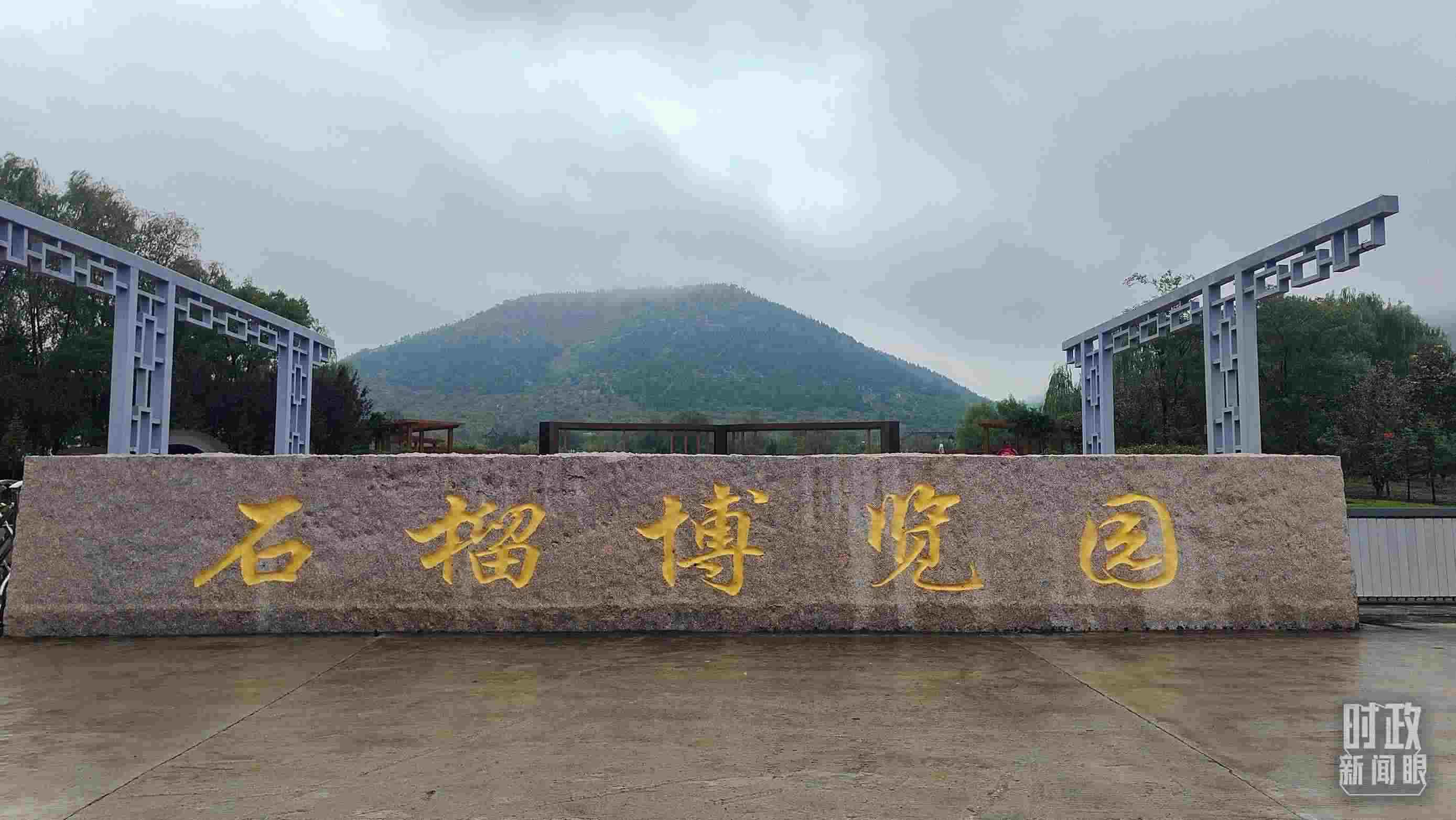 △石榴種質(zhì)資源庫位于石榴博覽園內(nèi)。（總臺央視記者楊立峰拍攝）