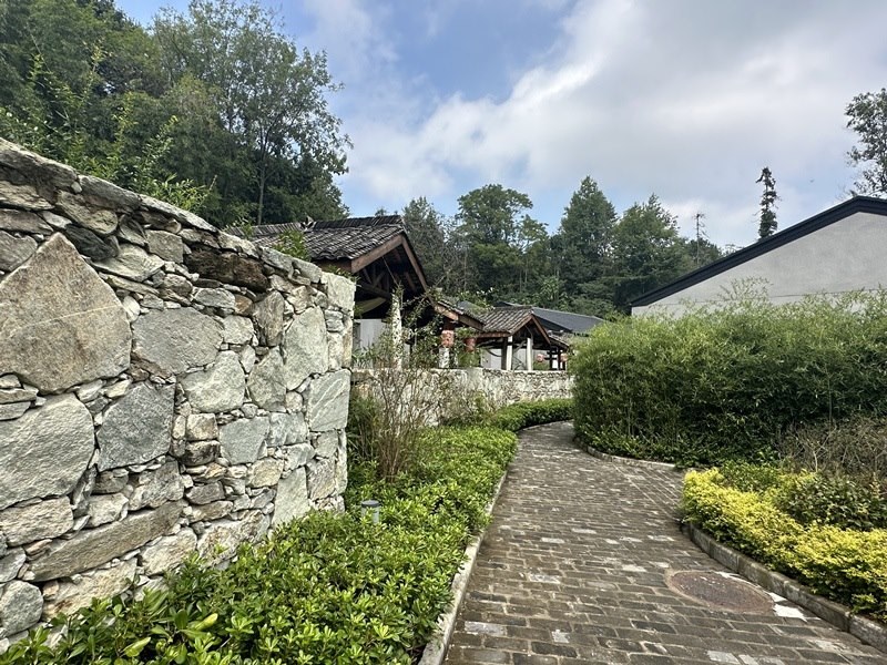 眾多民宿坐落于夫子山山麓。人民網(wǎng) 王紹紹攝