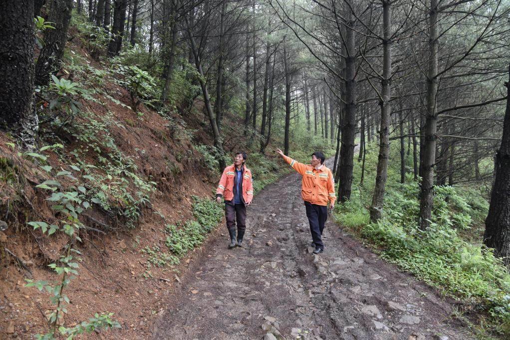 海雀村生態(tài)護(hù)林員馬正安（左）和海雀村林管員王光德（右）在日常巡山護(hù)林。新華社記者 李凡 攝
