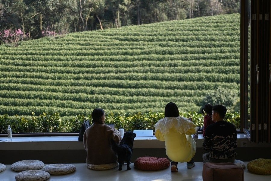 游客在浙江省安吉縣黃杜村萬畝茶園邊的咖啡館休閑（2023年2月21日攝）。