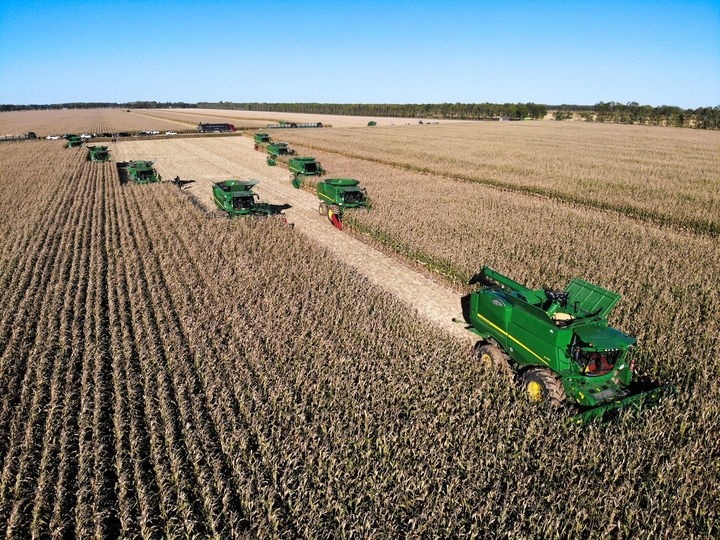 9月20日在位于黑龍江雙鴨山市友誼縣的北大荒農(nóng)業(yè)股份有限公司友誼分公司一地塊拍攝的秋收現(xiàn)場(chǎng)（無人機(jī)照片）。新華社記者 王松 攝