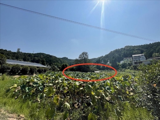 曾經(jīng)的圣水園所在地。 人民網(wǎng)記者 楊喬攝