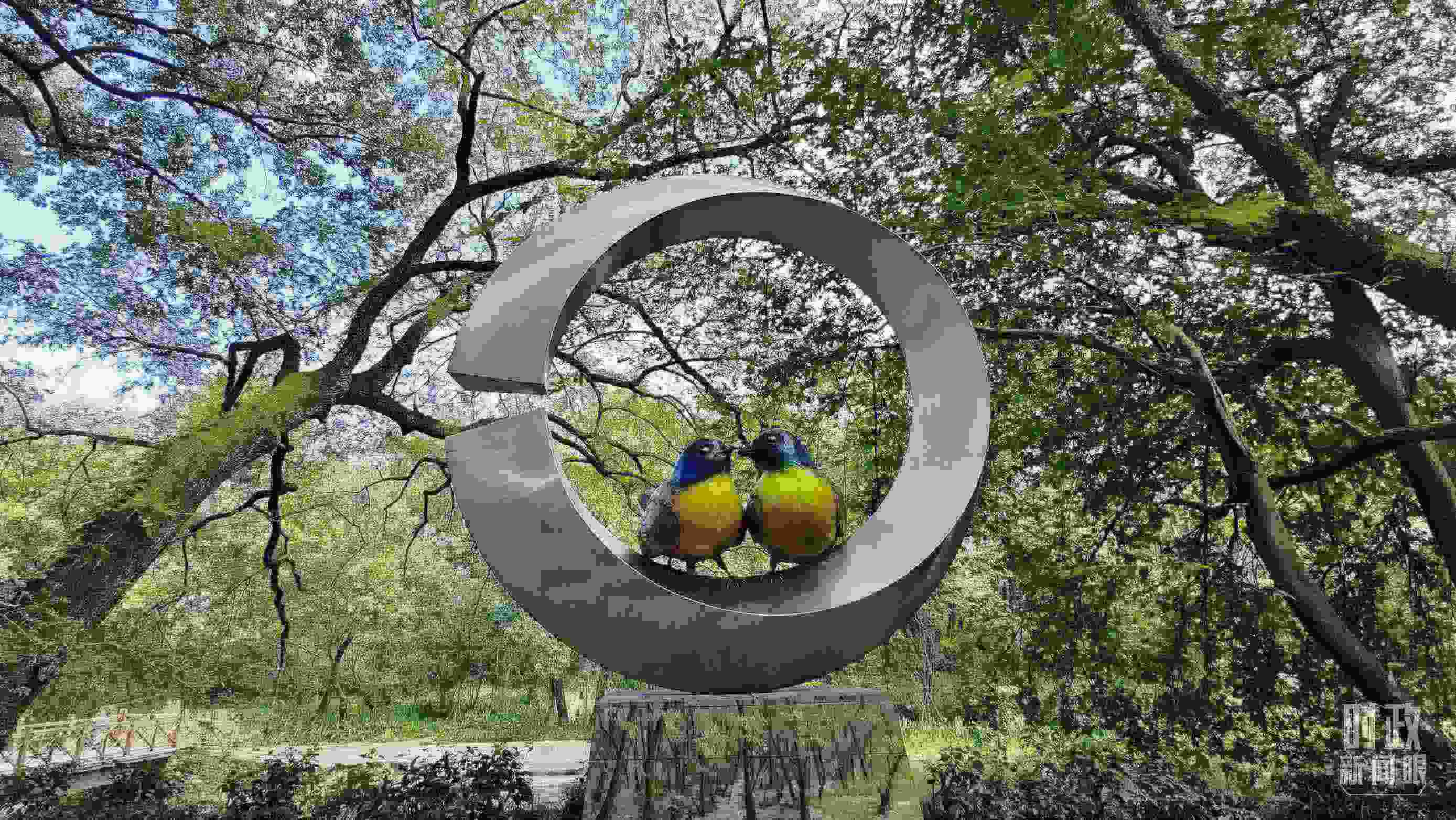 △石門村里的藍(lán)冠噪鹛雕像。（總臺央視記者許永松拍攝）