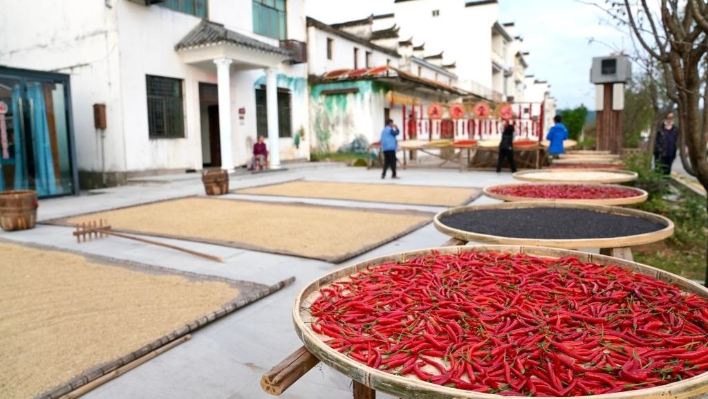 近日拍攝的江西省上饒市婺源縣秋口鎮(zhèn)王村石門自然村。新華社記者 胡晨歡 攝
