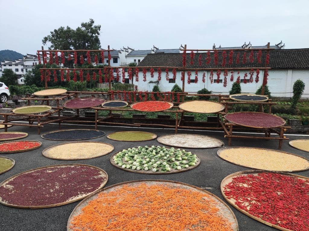 近日，江西省上饒市婺源縣秋口鎮(zhèn)王村村民晾曬的農(nóng)作物。新華社記者 劉佳敏 攝