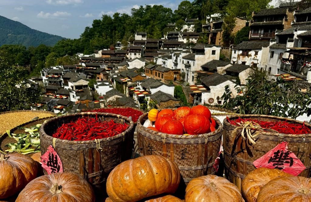 近日拍攝的江西省上饒市婺源縣篁嶺村曬秋畫面。新華社記者 胡晨歡 攝