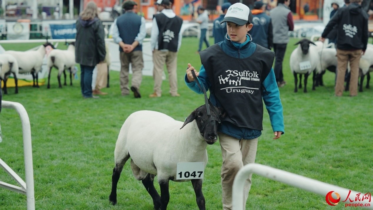 烏拉圭第118屆普拉多牧農(nóng)業(yè)國際博覽會現(xiàn)場。人民網(wǎng)記者 張若涵攝