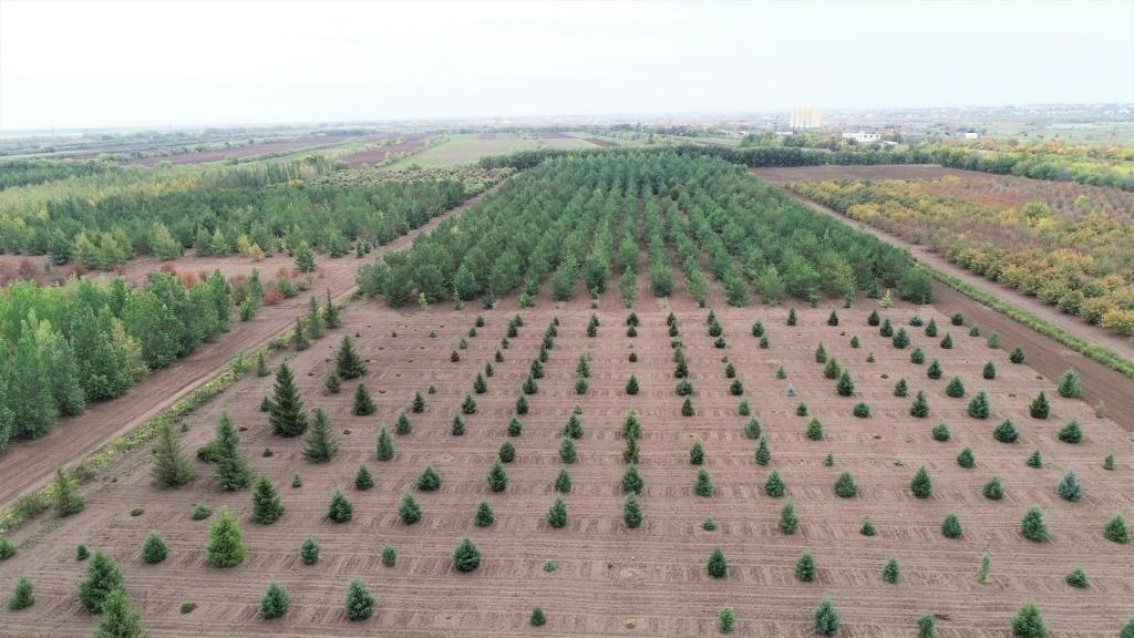 這是2023年9月11日在哈薩克斯坦首都阿斯塔納拍攝的一處植物種質資源苗圃（無人機照片）。新華社發(fā)（法爾哈特·圖克諾夫 攝）