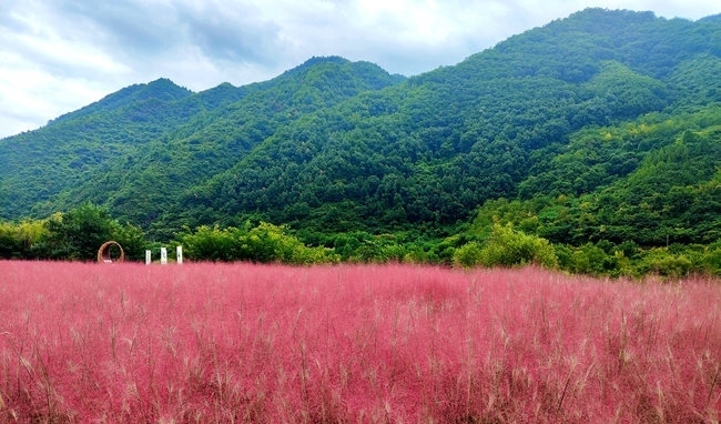寶成線鳳縣境內(nèi)的路邊。