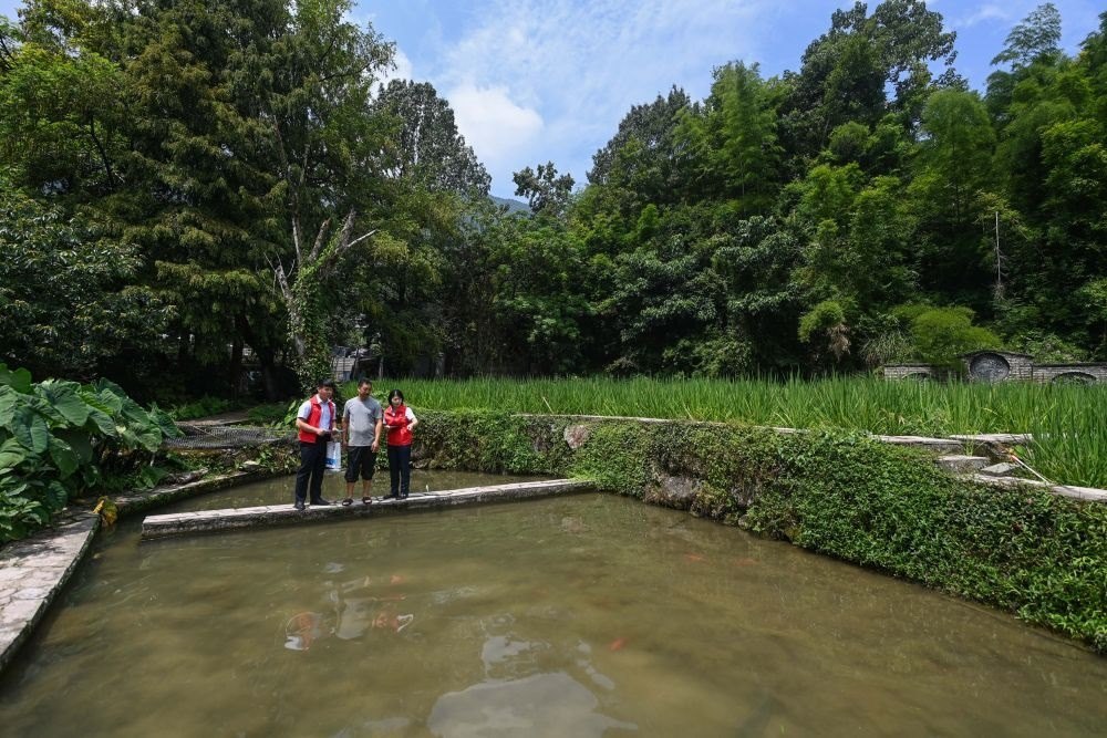 2023年8月17日，浙江省麗水市青田縣方山鄉(xiāng)田魚養(yǎng)殖戶吳勇強（中）在接受青田農(nóng)商銀行“小蜻蜓”服務(wù)隊志愿者提供的“惠民易貸”上門服務(wù)。近年來，青田縣金融發(fā)展中心聯(lián)合各個金融機構(gòu)優(yōu)化配套鄉(xiāng)村振興金融服務(wù)，推出“惠民易貸”“農(nóng)家樂貸”等金融產(chǎn)品，重點支持涉農(nóng)龍頭企業(yè)及特色種養(yǎng)殖產(chǎn)業(yè)。新華社記者 徐昱 攝