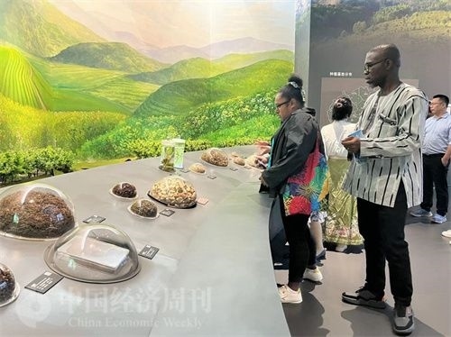  （在中國藥都中醫(yī)藥博物館，外媒記者了解中醫(yī)藥發(fā)展史。中國經濟周刊記者 郭志強 攝）