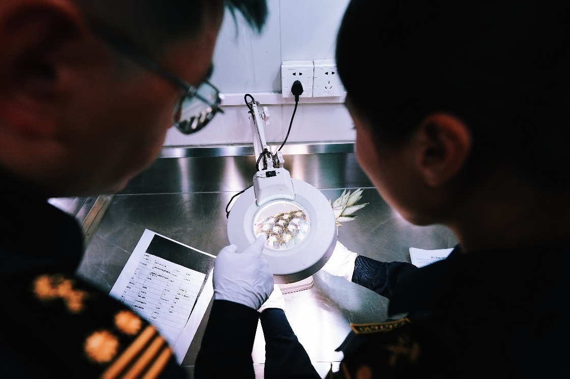 上海海關(guān)關(guān)員針對(duì)檢疫性有害生物和農(nóng)藥殘留進(jìn)行檢疫檢驗(yàn)。陳興洲攝