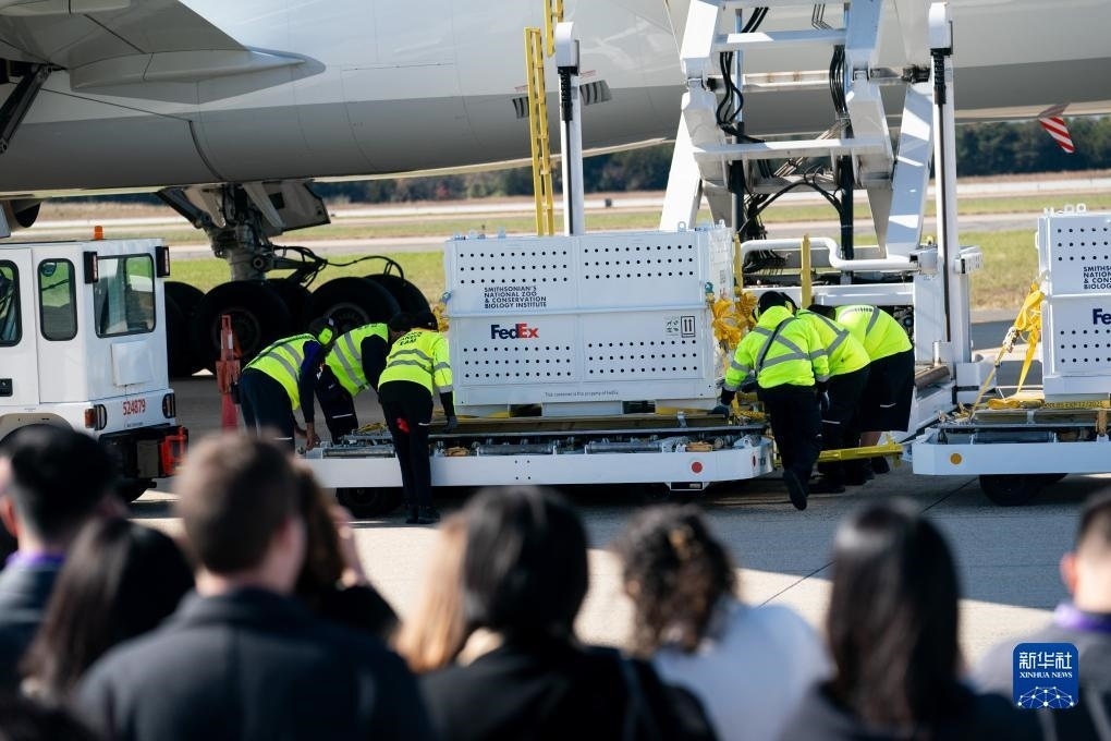 11月8日，在美國弗吉尼亞州的華盛頓杜勒斯國際機場，裝有大熊貓的特制“旅行包廂”準(zhǔn)備運上專機。新華社記者劉杰攝
