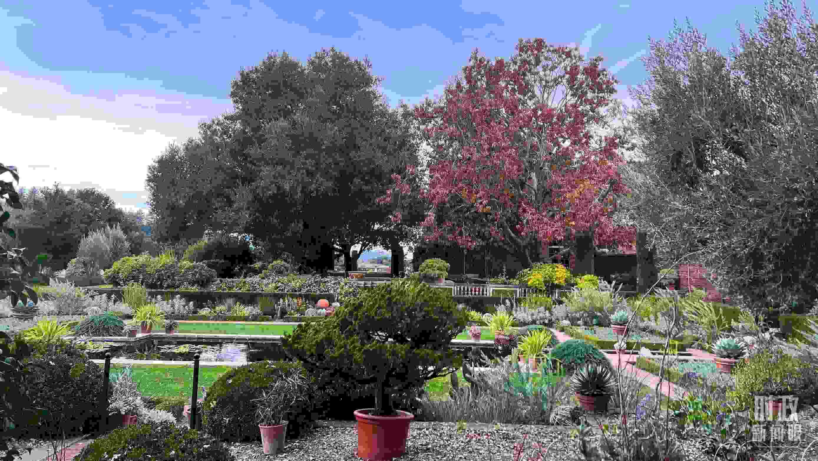 斐洛里莊園被稱作美國(guó)20世紀(jì)現(xiàn)存最精美鄉(xiāng)村莊園之一。（總臺(tái)央視記者程鋮拍攝）