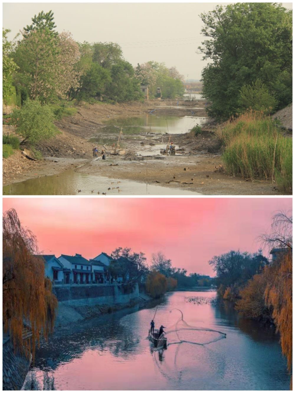 江蘇省揚(yáng)州市江都區(qū)明清運(yùn)河故道整治前后。（上圖：2012年；下圖：2020年）（孫友定 攝）