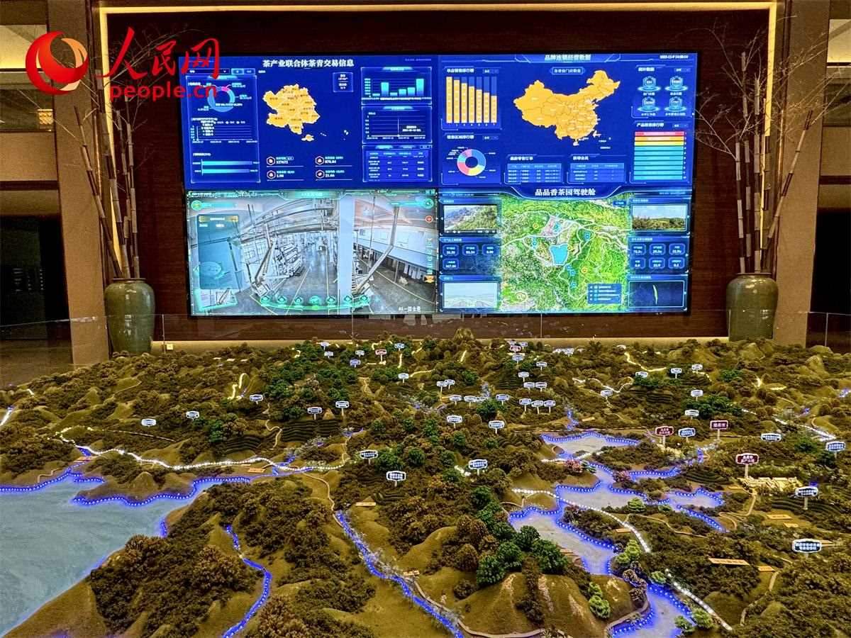 品品香白茶產(chǎn)業(yè)園信息中心數(shù)智化大屏。人民網(wǎng)記者 劉微攝