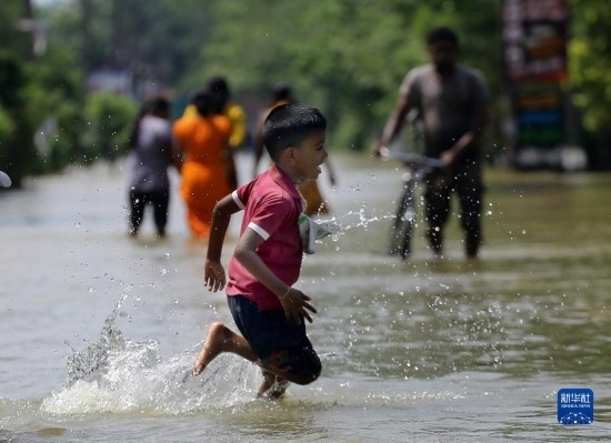 11月24日，一名男孩在斯里蘭卡加姆珀哈涉水出行。新華社發(fā)（阿吉特·佩雷拉攝）