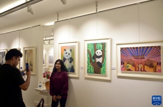 11月22日，在孟加拉國達卡，人們在“國家印象”繪畫展上參觀拍照。新華社發(fā)（薩利姆攝）