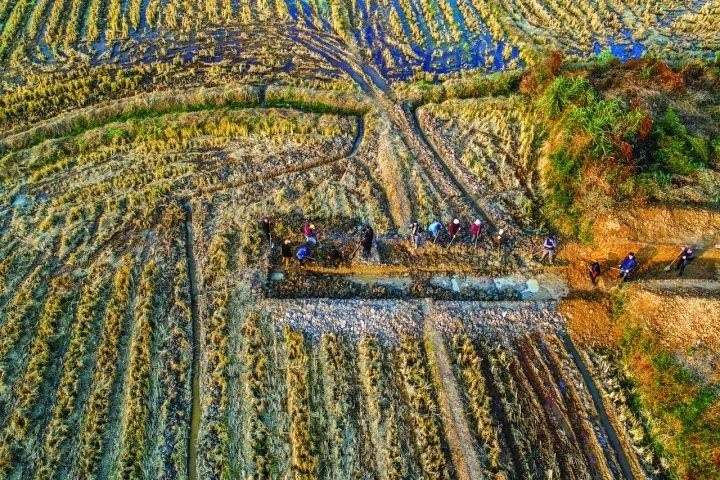 良渚遺址考古發(fā)掘現(xiàn)場。