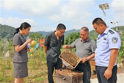  圖②：蒙山法院黃村法庭法官深入蜂蜜合作社，實(shí)地了解蜂農(nóng)需求。
