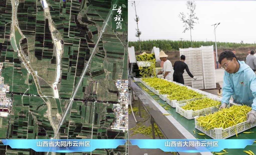 當(dāng)前，大同市開(kāi)發(fā)黃花菜品、食品、飲品、功能食品、化妝品、文創(chuàng)產(chǎn)品六大系列130余種，全產(chǎn)業(yè)鏈產(chǎn)值超40億元。