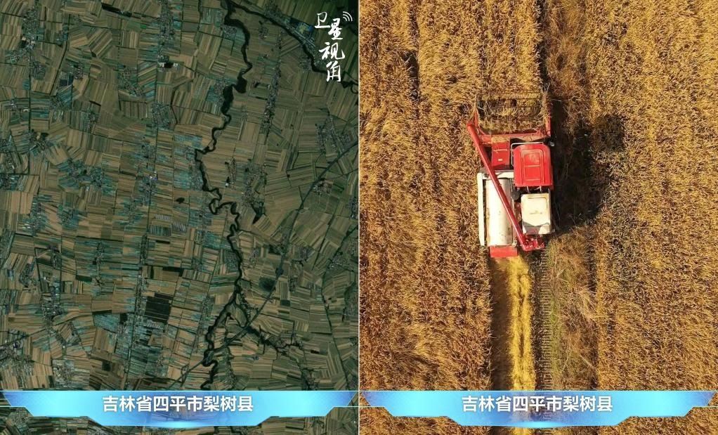 隨著現(xiàn)代化農(nóng)機(jī)普及應(yīng)用，保護(hù)性耕作“梨樹(shù)模式”得以大面積推廣，不僅使黑土地保護(hù)與利用持續(xù)深入，更為糧食作物高產(chǎn)穩(wěn)產(chǎn)助力。