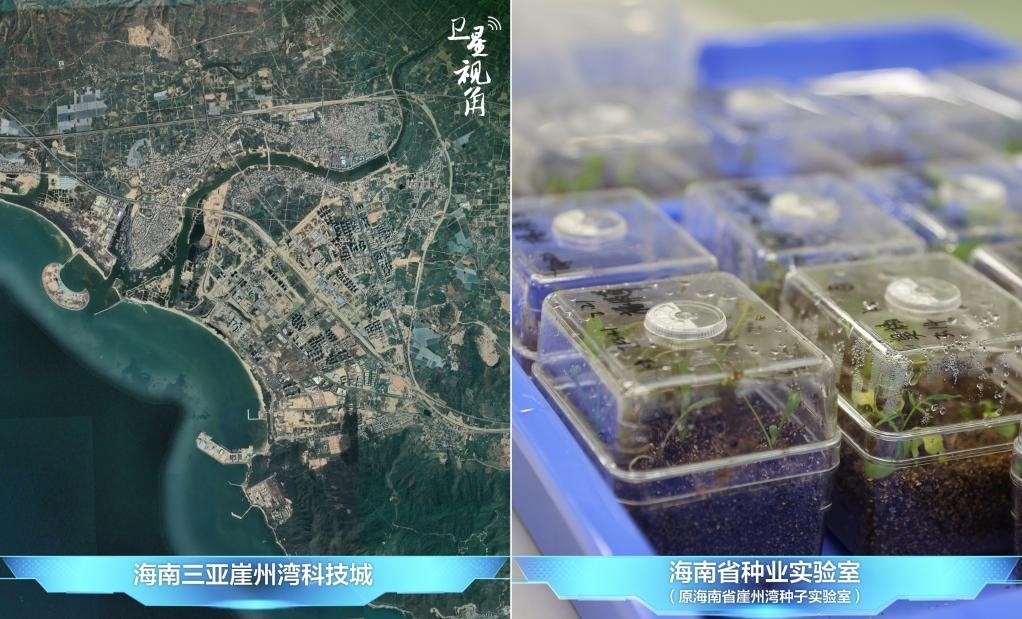 位于三亞崖州灣科技城的海南省種業(yè)實(shí)驗(yàn)室（原海南省崖州灣種子實(shí)驗(yàn)室）將形成輻射全國(guó)和“一帶一路”沿線國(guó)家的種子科學(xué)技術(shù)創(chuàng)新中心。