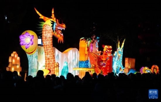 2月11日晚，人們在濟南市趵突泉公園觀賞花燈。