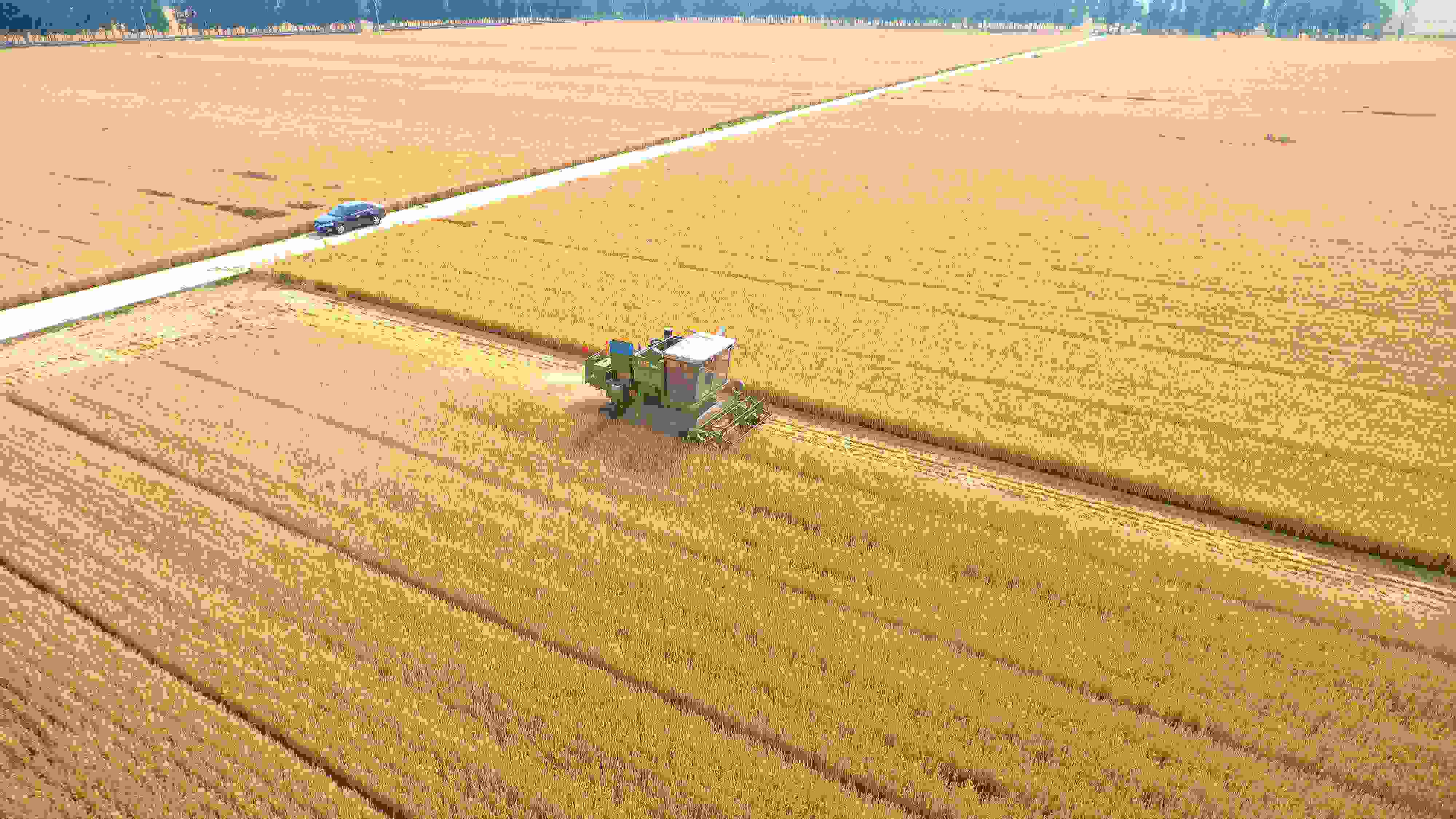 △ 2023年6月5日，山東聊城茌平區(qū)賈寨鎮(zhèn)王藥包村，收割機(jī)在田間進(jìn)行小麥?zhǔn)崭钭鳂I(yè)。