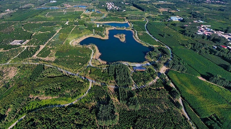 這是2022年9月6日拍攝的雄安新區(qū)“千年秀林”。