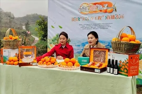 2021年2月26日，在重慶渝北區(qū)大盛鎮(zhèn)青龍村舉辦的直播活動(dòng)現(xiàn)場(chǎng)。