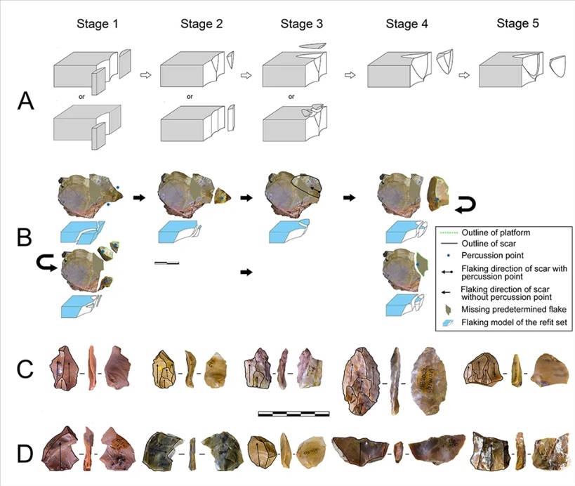 岑家灣遺址“準(zhǔn)備石核技術(shù)”及相關(guān)石制品。（受訪單位供圖）